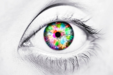 Close-up of beautiful colorful human eye