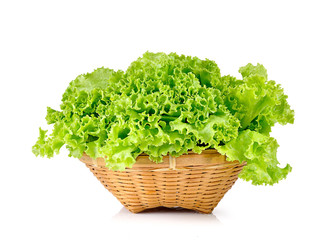 Fototapeta premium salad leaves on white background