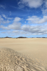 Fototapeta na wymiar Wanderdüne auf Fuerteventura
