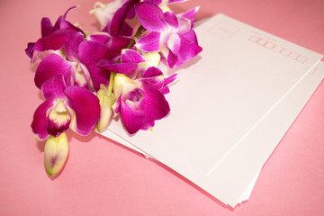 Purple Orchid Dendrobium with postcard