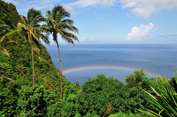 Fototapeta na wymiar Mountain, Palms Trees Rainbow and Ocean