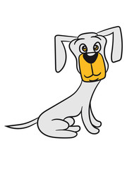 sweet sitting plush faithful dog dachshund dear