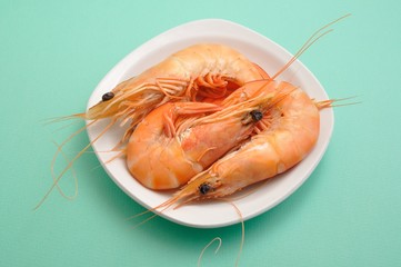 Tropical shrimp