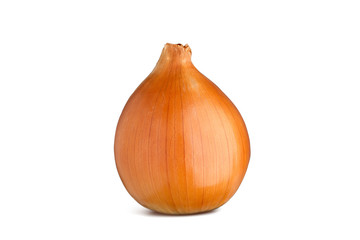 Cipolla dorata su fondo bianco con ombra