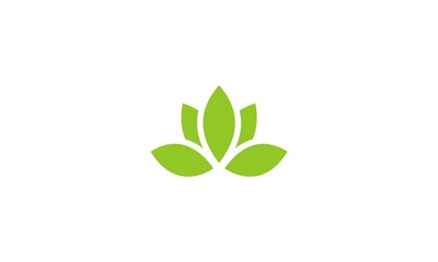 Fototapeta na wymiar green leaf ecology logo