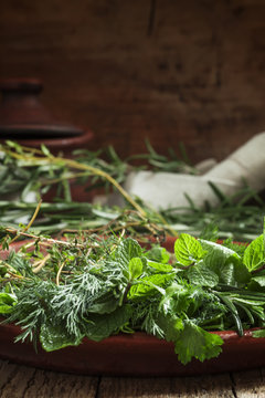 Spicy herbs in a clay dish, selective focus