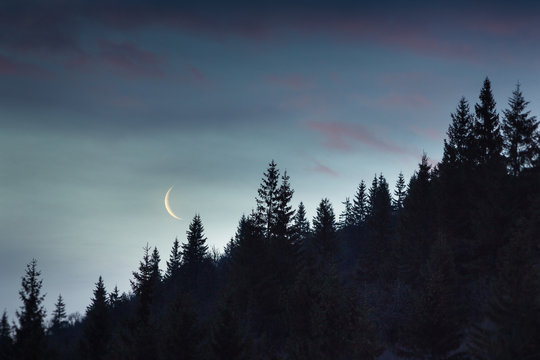 Young moon over the forest in the mountains at night.