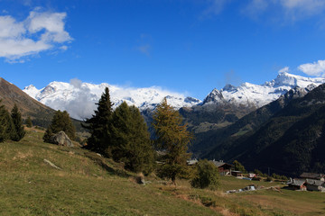 Fototapeta na wymiar Gruppo del Monte Rosa dalle valle Ayas