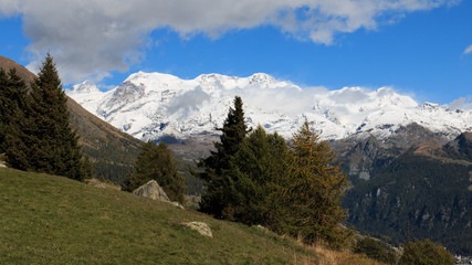 Fototapeta na wymiar Gruppo del Monte Rosa dalla valle d'Ayas (Valle d'Aosta)