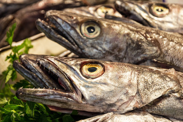 Fish - black scabbard (espada) in fish market Mercat de la Boque