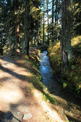 Fototapeta premium Barmasc - Valle d'Ayas