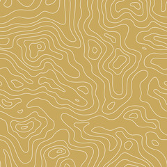 Topographic Map Seamless Pattern. Vector Background