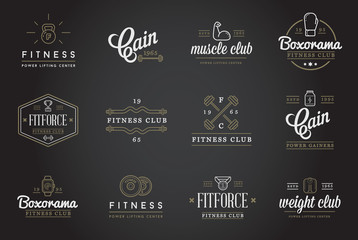 Set of Vector Fitness Aerobics Gym Elements and Fitness Icons Illustration can be used as Logo or Icon in premium quality