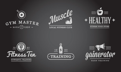 Set of Vector Fitness Aerobics Gym Elements and Fitness Icons Illustration can be used as Logo or Icon in premium quality