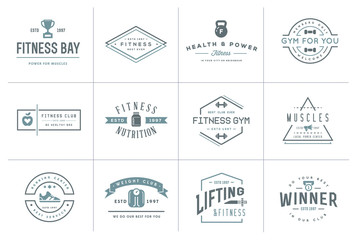 Set of Vector Fitness Aerobics Gym Elements and Fitness Icons Illustration can be used as Logo or Icon in premium quality - obrazy, fototapety, plakaty