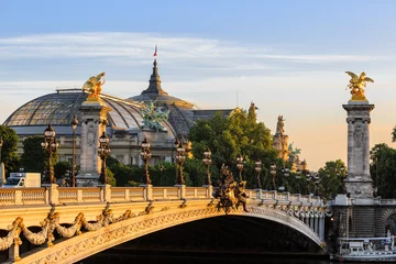Gordijnen Alexander III bridge att dawn in Paris  © Moyseeva Irina