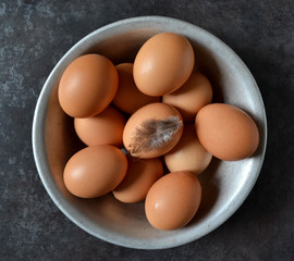 Fresh raw group of eggs