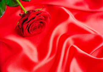 Red rose on a red satin background