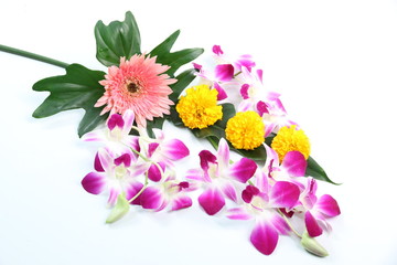 Many species of colorful flowers on a white background.