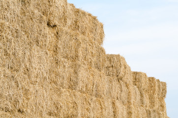 Straw Bales Horizontal