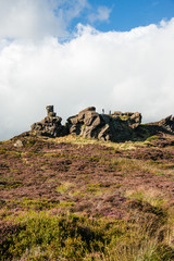 Ramshaw rocks in the Staffordshire moorlands on a sunny day