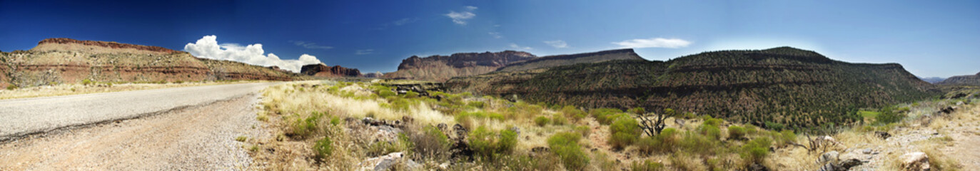 Zion National Park Panoramic