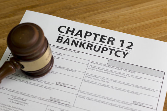  Bankruptcy Chapter 12