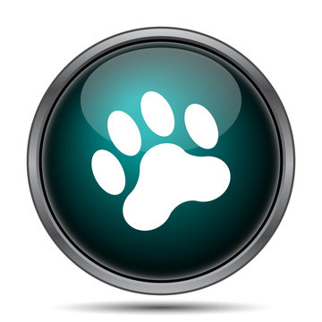 Paw print icon