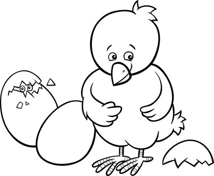 easter chicken for coloring