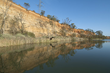 Fototapeta na wymiar Red Cliffs on the murray river, Australia's longest river, Victoria, Australia.