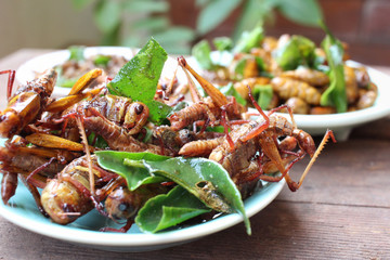 Fried insect © Mumumutelu 