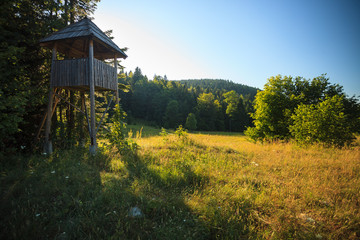 Abandoned lookout tower for hunting in national park Tara in Serbia