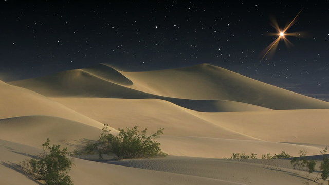 Christmas 0103: A Guiding Star in a desert sky (Loop).