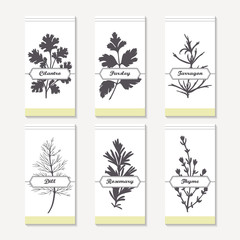 Spicy herbs silhouettes collection. Hand drawn cilantro, parsley, tarragon, dill, rosemary, thyme - 101950527