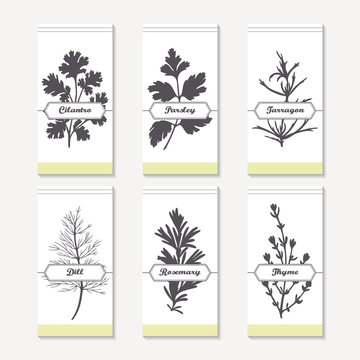 Spicy herbs silhouettes collection. Hand drawn cilantro, parsley, tarragon, dill, rosemary, thyme