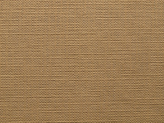 corrugated cardboard blank sheet