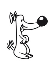 funny little sweet cute excited dog