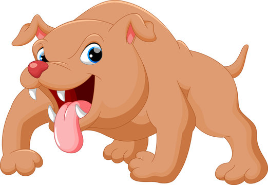 Vector illustration of cartoon angry pit bull dog