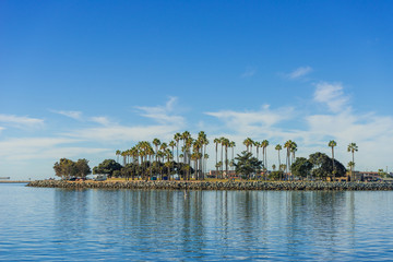 Obraz premium Palm trees on blue sky background