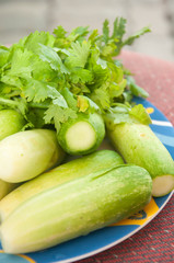 fresh cucumber and green coriander leaves close-up