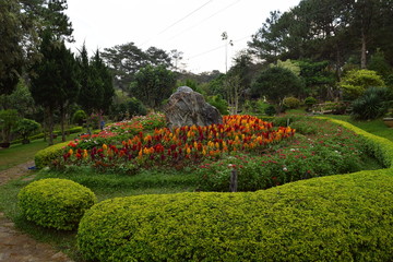 modern flower garden in park in Vietnam 