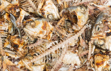 mackerel fish bone for cat