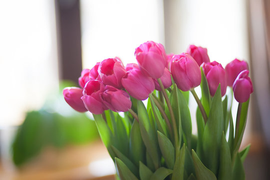 Beautiful tulips bouquet. Soft focus