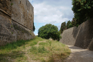 Fototapeta na wymiar Tree in the Rhodoes fortress
