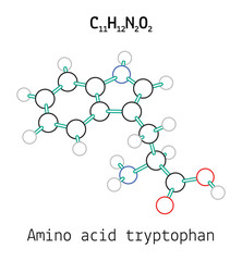 C11H12N2O2 amino acid tryptopha molecule