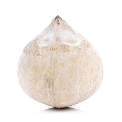 Roasted Young Coconut on white background