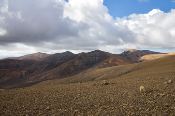 Lanzarote