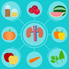Infographics of food helpful for healthy kidney