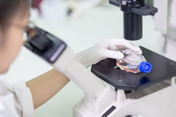 Technician examining specimen under microscope