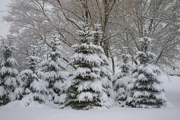 winter